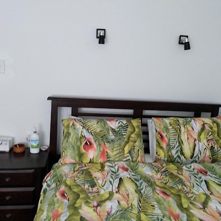 C'Est La Vie Bed & Breakfast 奥尔巴尼 外观 照片
