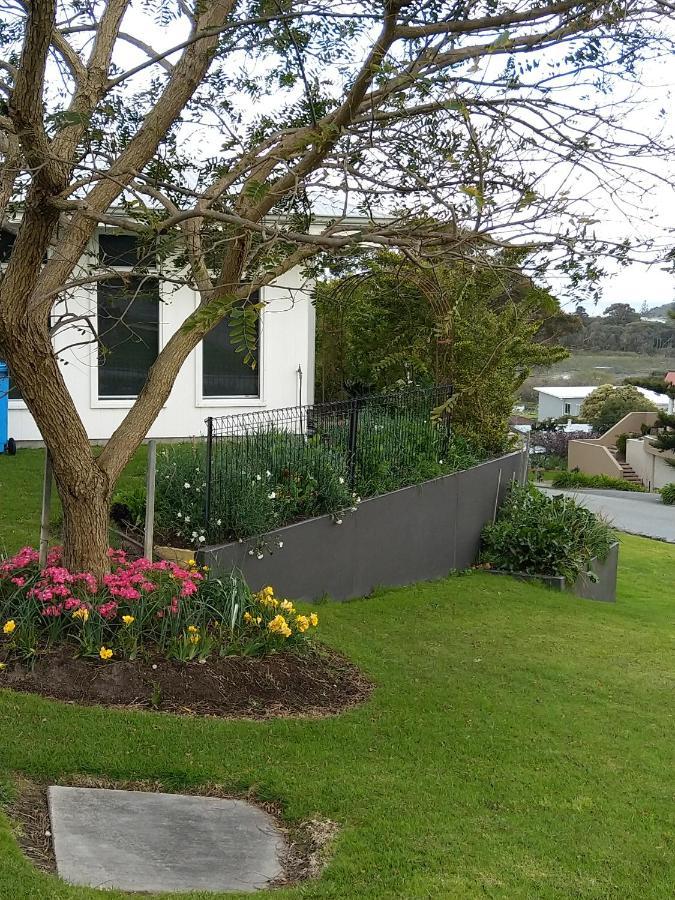 C'Est La Vie Bed & Breakfast 奥尔巴尼 外观 照片